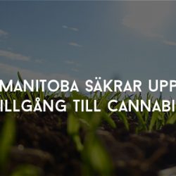 Manitoba säkrar upp tillgång till cannabis