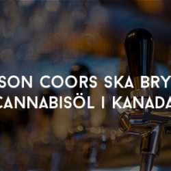 Molson Coors ska brygga cannabisöl i Kanada