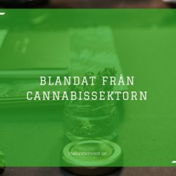 Blandat från cannabissektorn: Harvest One, Aurora Cannabis, Organigram och avkriminalisering
