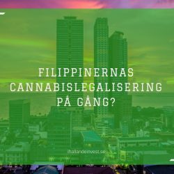 Filippinernas cannabislegalisering på gång?
