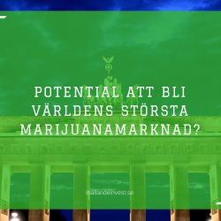 Potential att bli världens största marijuanamarknad?