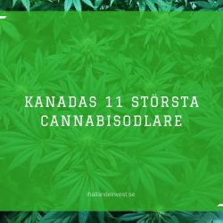 Kanadas 11 största cannabisodlare