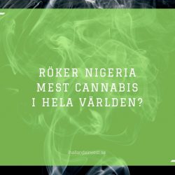 Röker Nigeria mest cannabis i hela världen?