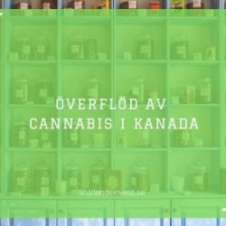 Överflöd av cannabis i Kanada