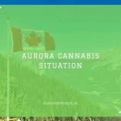 Aurora Cannabis situation