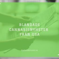 Blandade cannabisnyheter från USA