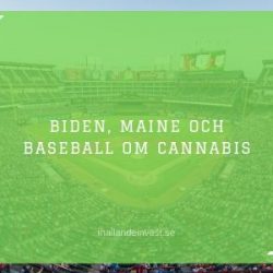 Biden, Maine och Baseball om cannabis