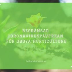 Begränsad Coronaviruspåverkan för Oboya