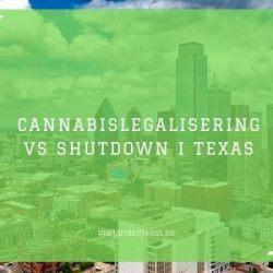 Cannabislegalisering vs Shutdown i Texas