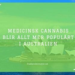 Medicinsk cannabis i Australien allt populärare