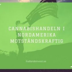 Cannabishandeln i Nordamerika motståndskraftig