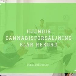 Illinois cannabisförsäljning slår rekord