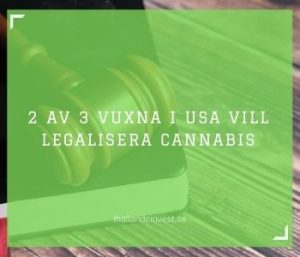 2 av 3 vuxna i USA vill legalisera cannabis