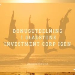 Bonusutdelning i Gladstone Investment Corp igen